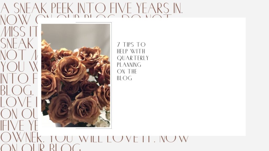 5 years in as a business owner VOQUSDigital